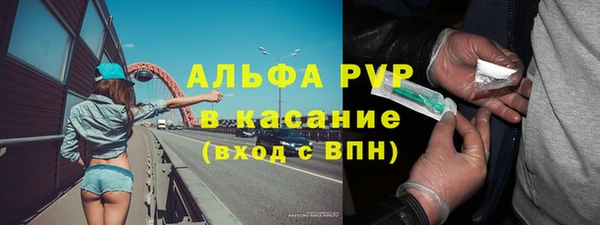 спиды Горняк