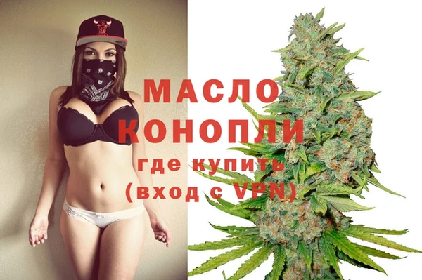 спиды Горняк