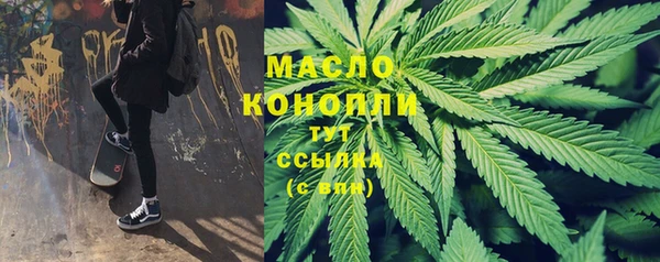 спиды Горняк