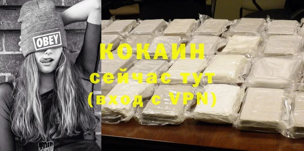дживик Горнозаводск
