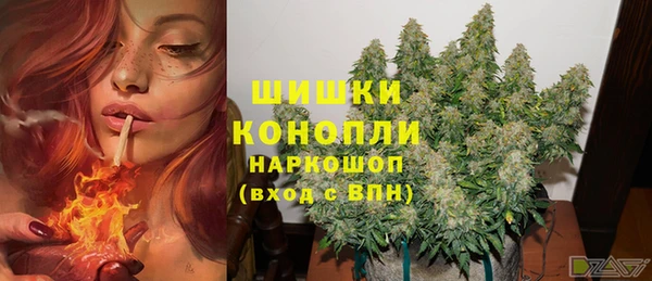 спиды Горняк