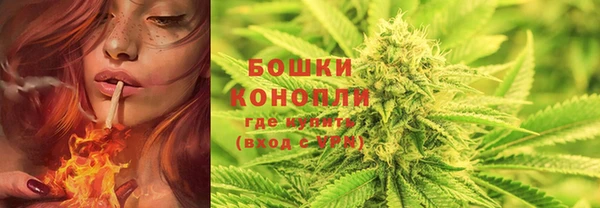 дживик Горнозаводск